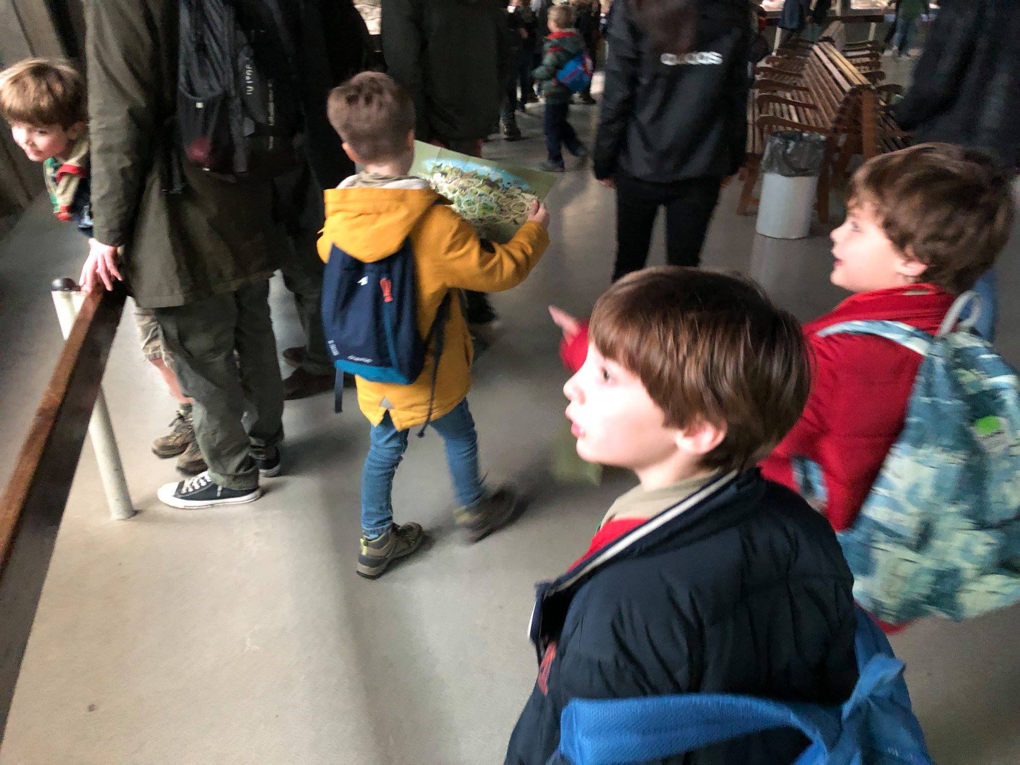 Sint-Martinus den XIIde - Zoo Antwerpen Kapoenen